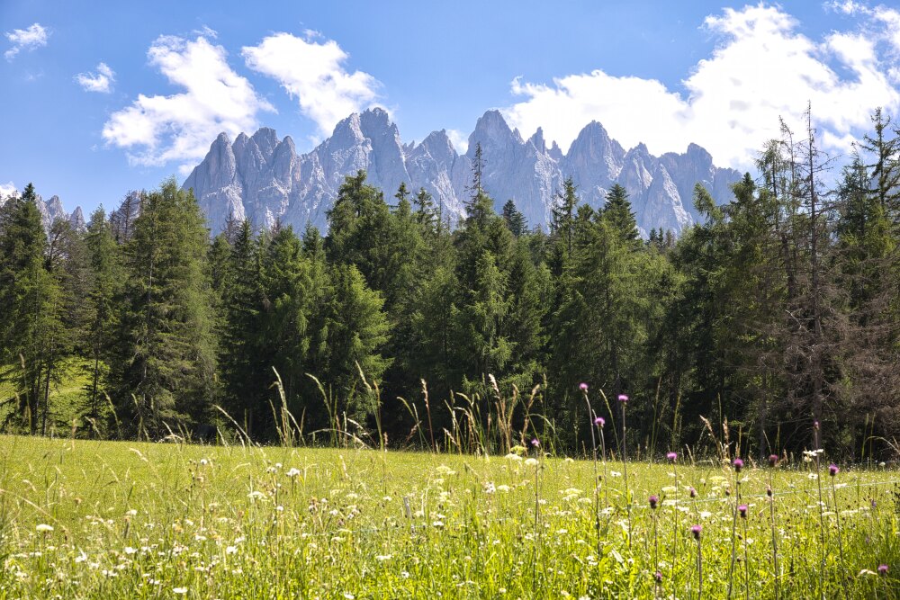 Croda o Rocca dei Baranci