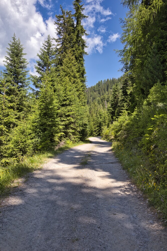 Strada bianca verso la Stumpf Alm