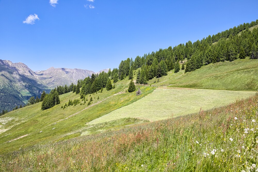 Strada bianca da Stumpf Alm a Kaser Alm