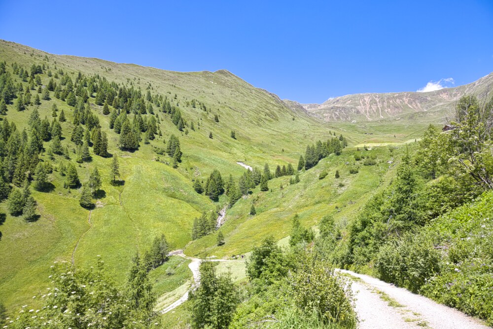 Dopo il ripido sentiero nel bosco si sbuca su strada bianca
