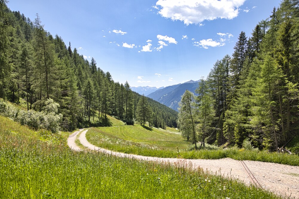 In prossimità del bivio per la Uwald Alm
