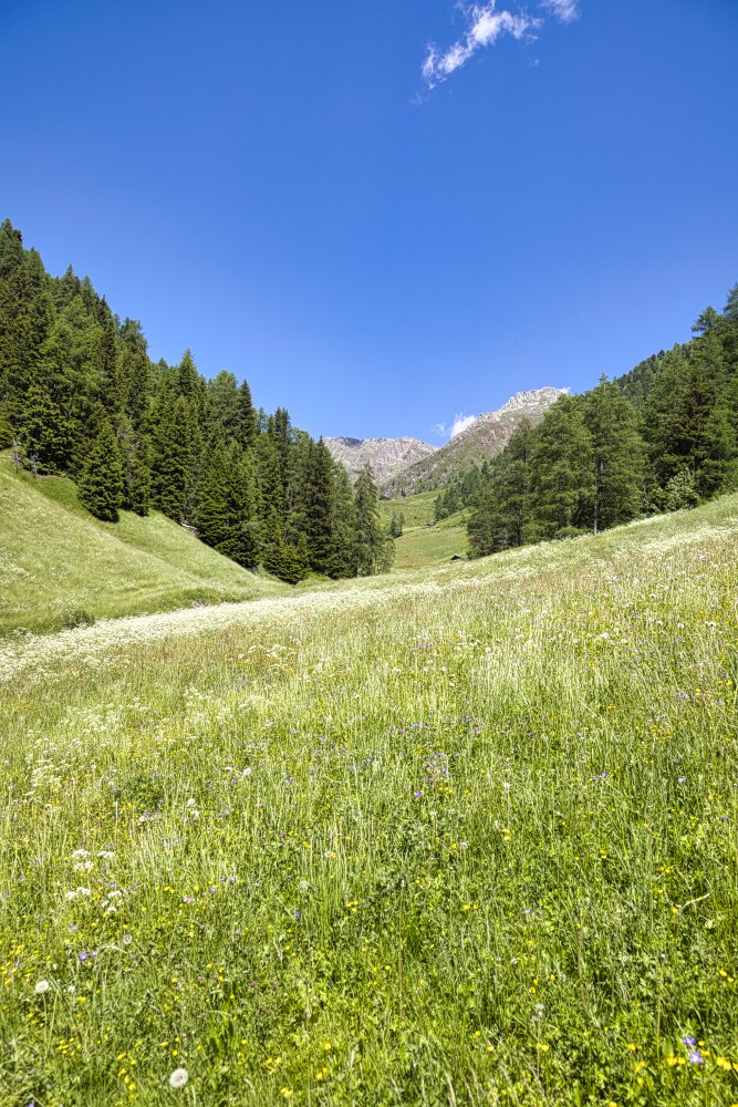 i pascoli della Val Casies