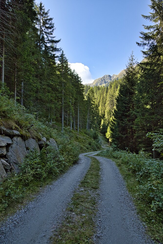 strada bianca che sale alla Bergalm