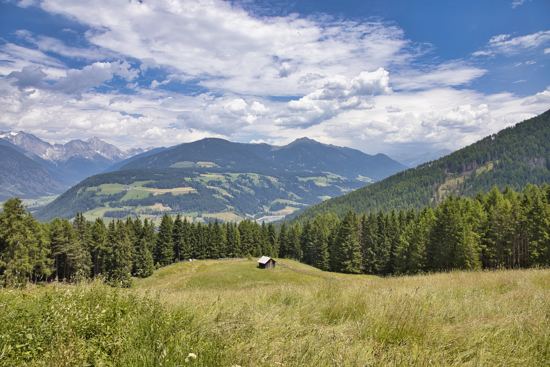 Anello Angerer Alm da Valdaora di Mezzo