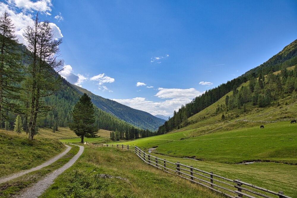 da Lercheralm a Malga Haidacher