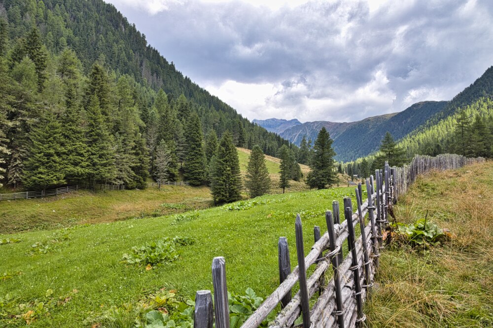 tra Lercheralm e Malga Haidacher