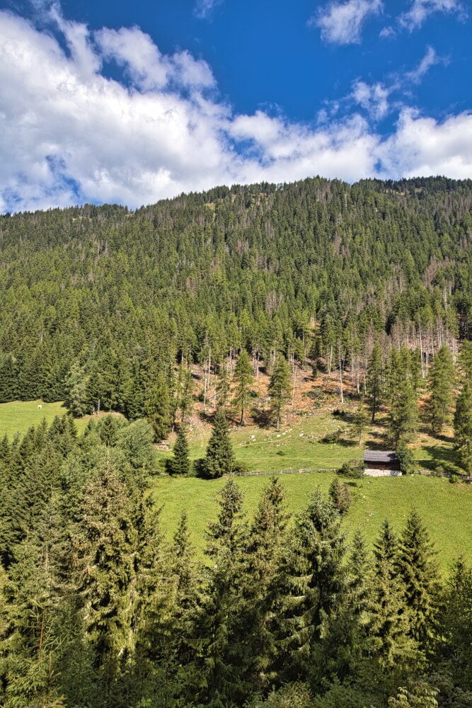Salendo a Lercheralm