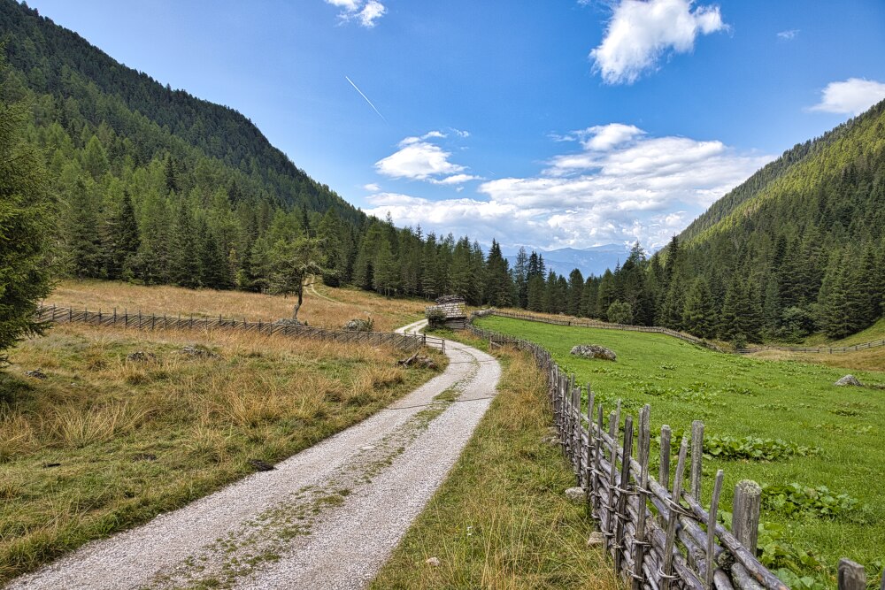 strada bianca tra Lercheralm e Malga Haidacher