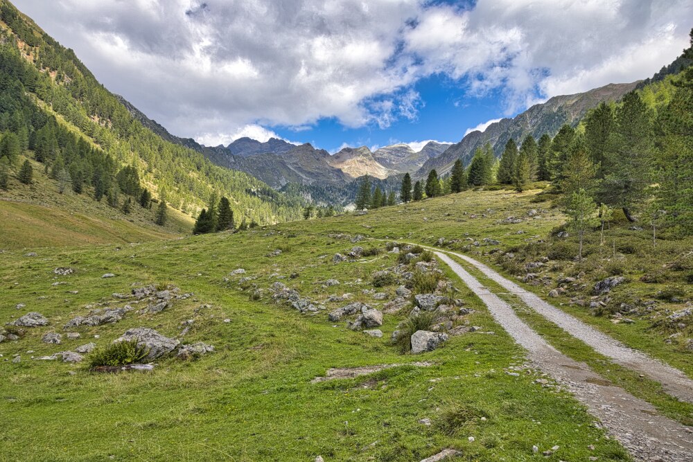 stupendi pascoli salendo a Malga Haidacher