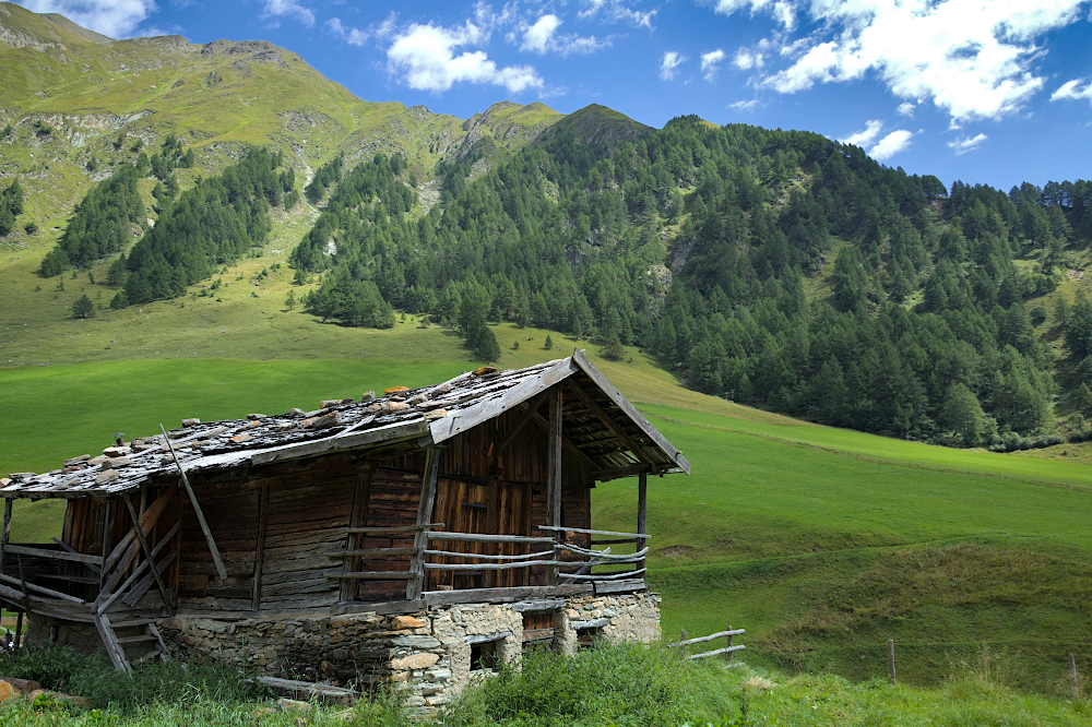 Pascoli di Fane Alm