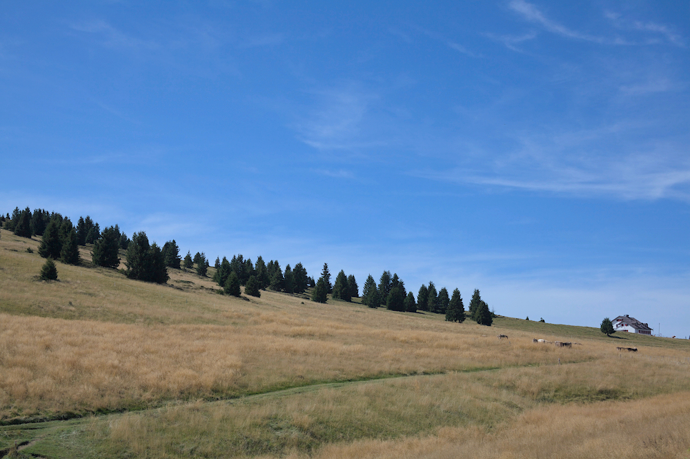 Monte Alto e Rifugio Magnolini