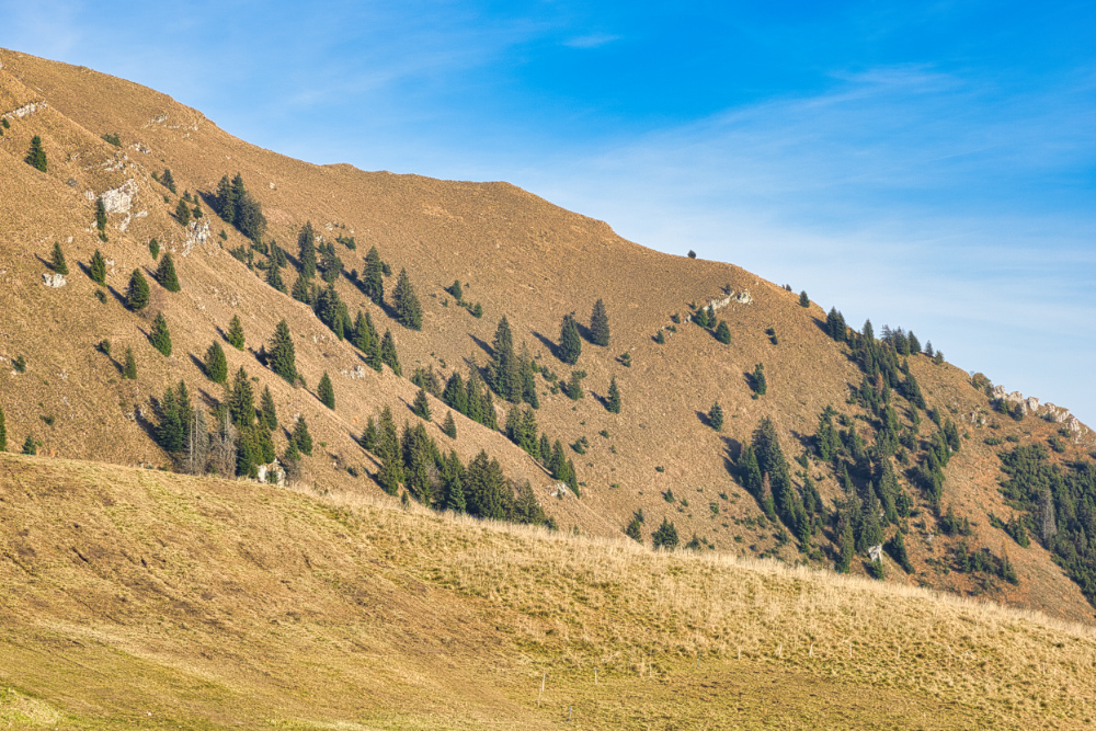 Monte Pora tornando al parcheggio