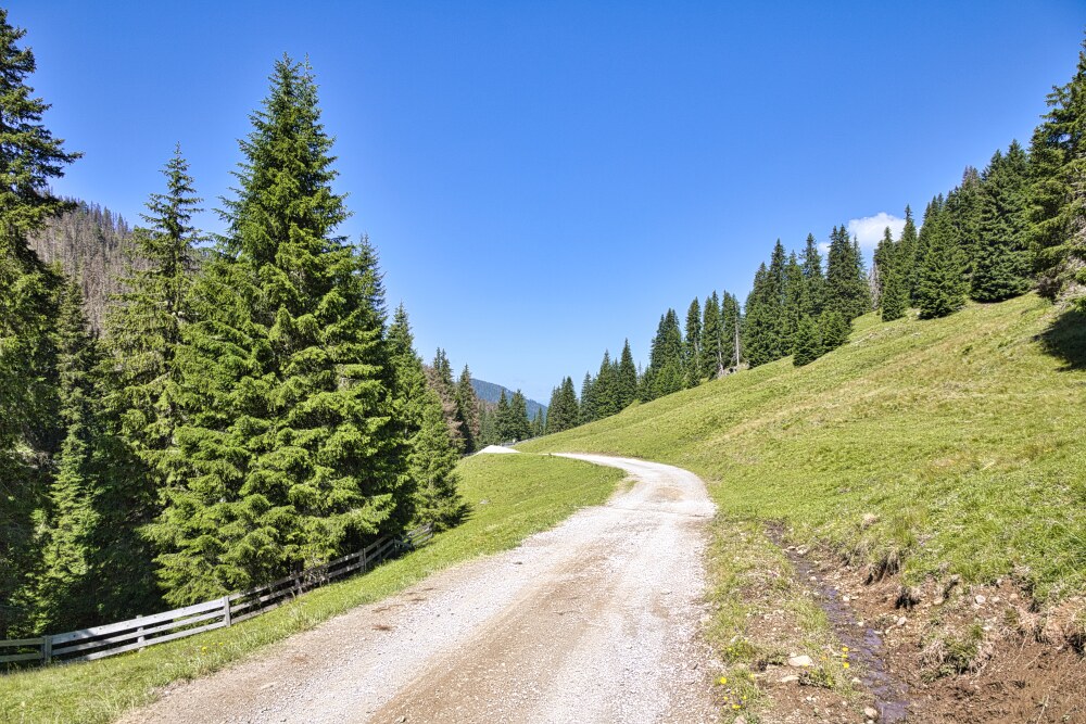 Strada Bianca che sale a Malga Silvestro e Steinberg Alm