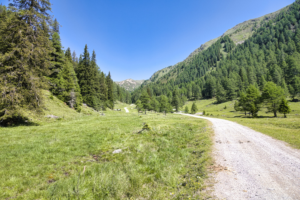 Strada Bianca che sale a Malga Silvestro e Steinberg Alm