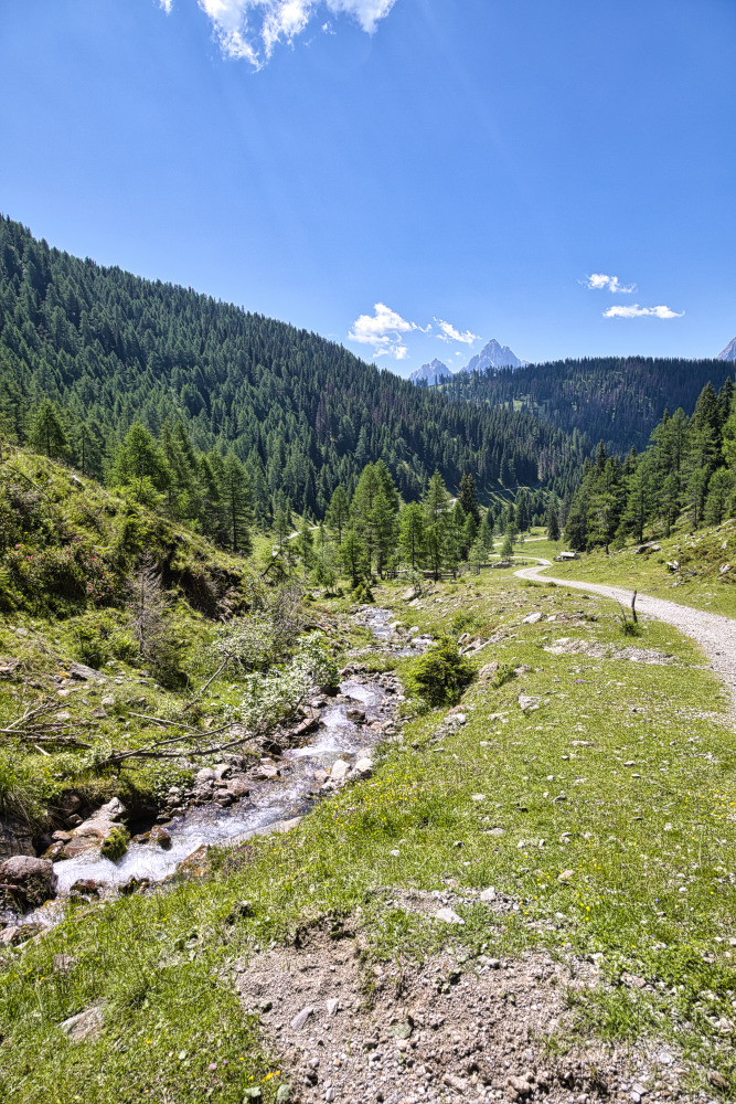 Strada Bianca che sale da Malga Silvestro a Steinberg Alm