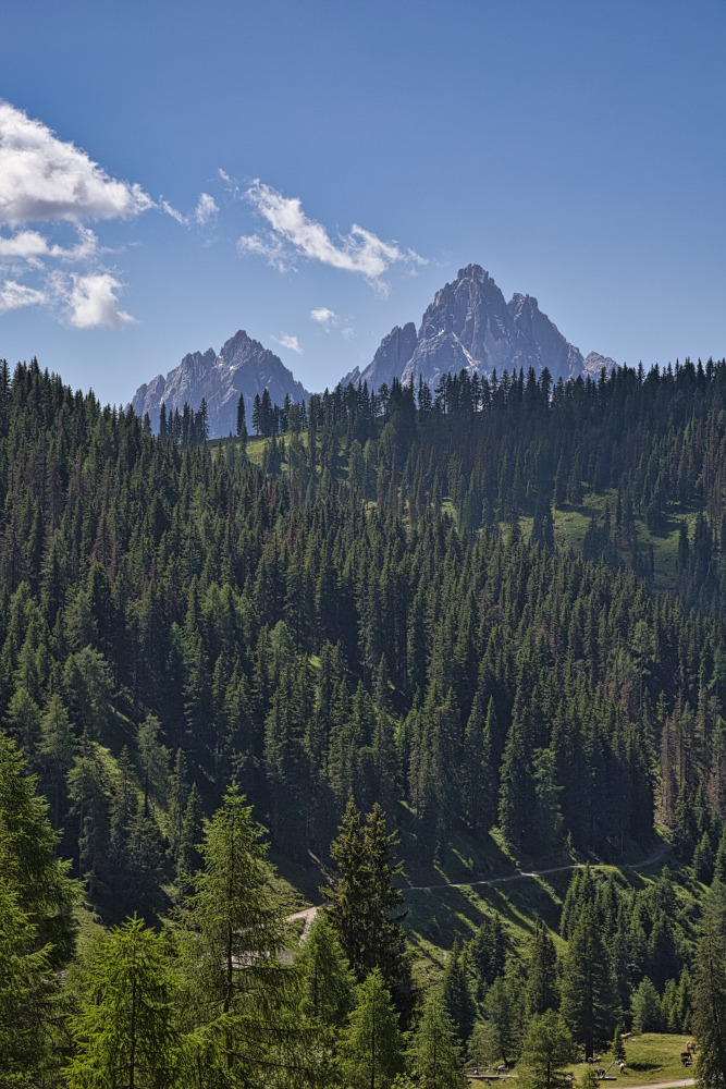 Dolomiti di Sesto e Tre Cime di Lavaredo dalla Steinberg Alm