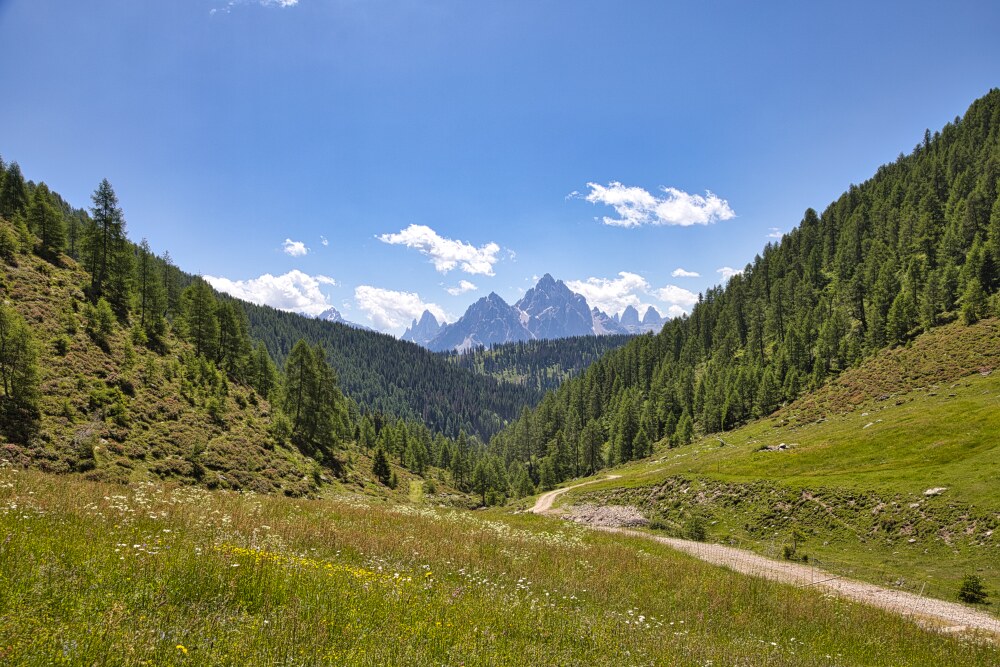 Strada Bianca che sale a Malga Silvestro e Steinberg Alm