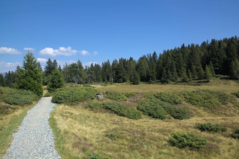 Alpe Rodengo RastnerHütte e rifugio Stankenfeld