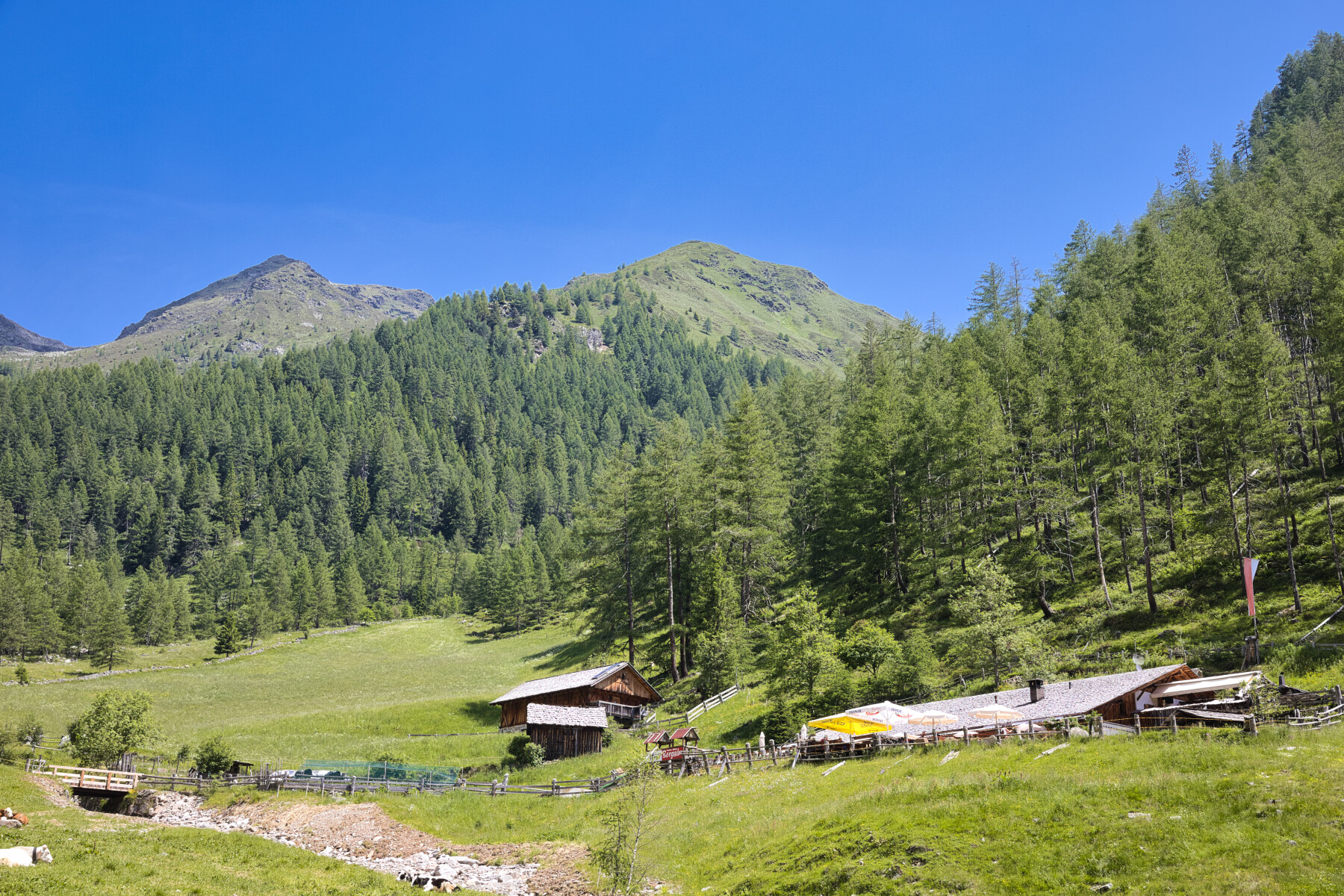 Astnerberg Alm da Terento