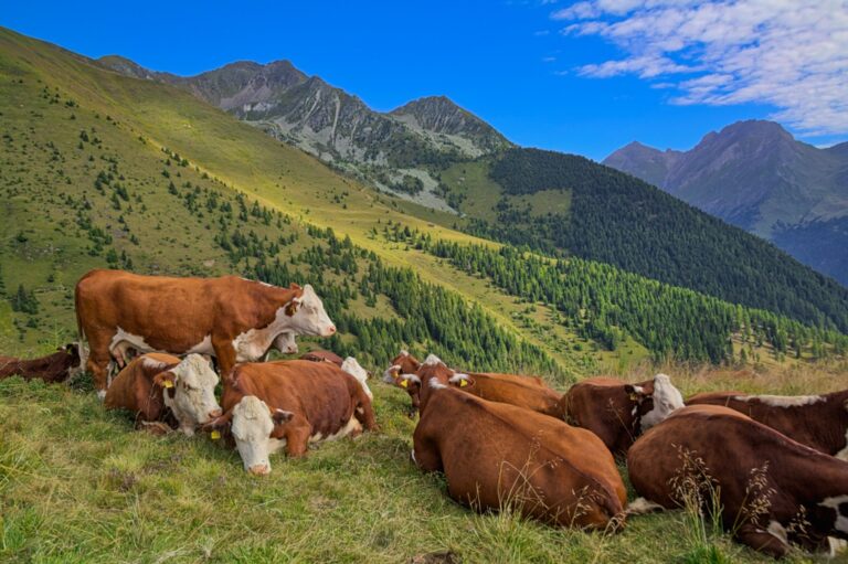 Jochtal, anello sentiero Steiner Mandl e Anratter Hütte
