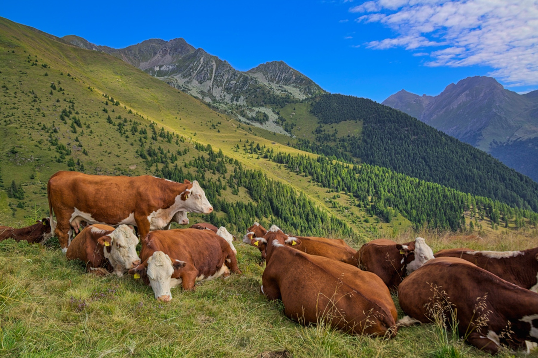 Jochtal, anello sentiero Steiner Mandl e Anratter Hütte