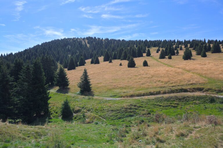 Rifugio Magnolini da Malga Alta