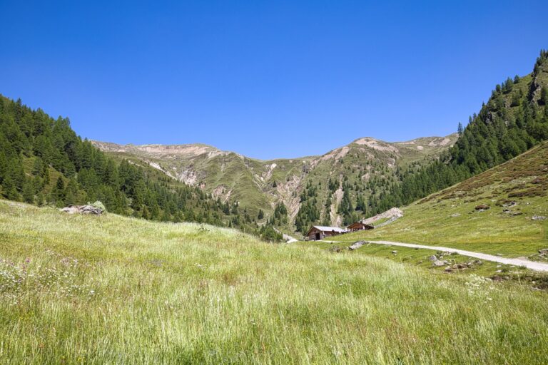 Valle San Silvestro e Steinberg Alm