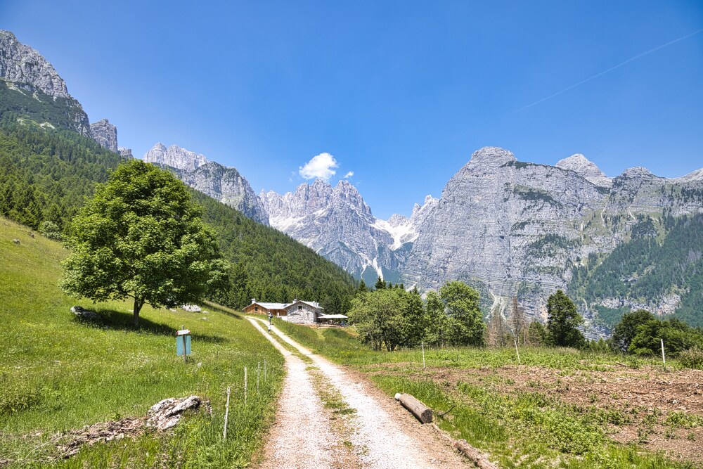 Tratto finale Rifugio Malga Andalo