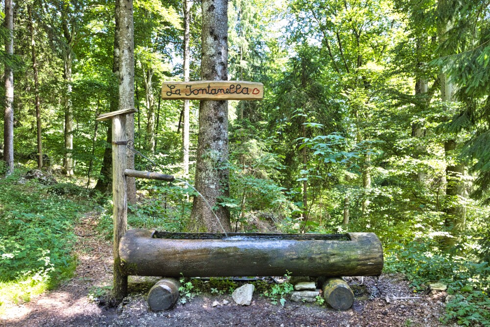 Fontanella lungo la forestale