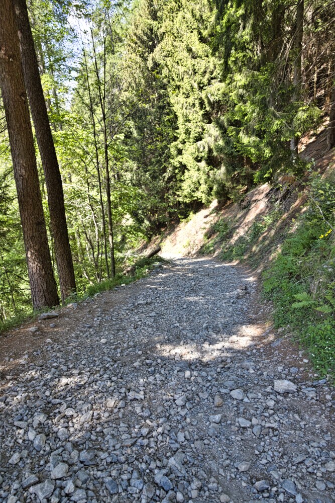 Parte centrale dell'escursione al Rifugio Terrerosse