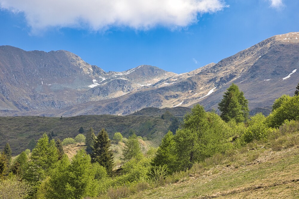 Corno Stella