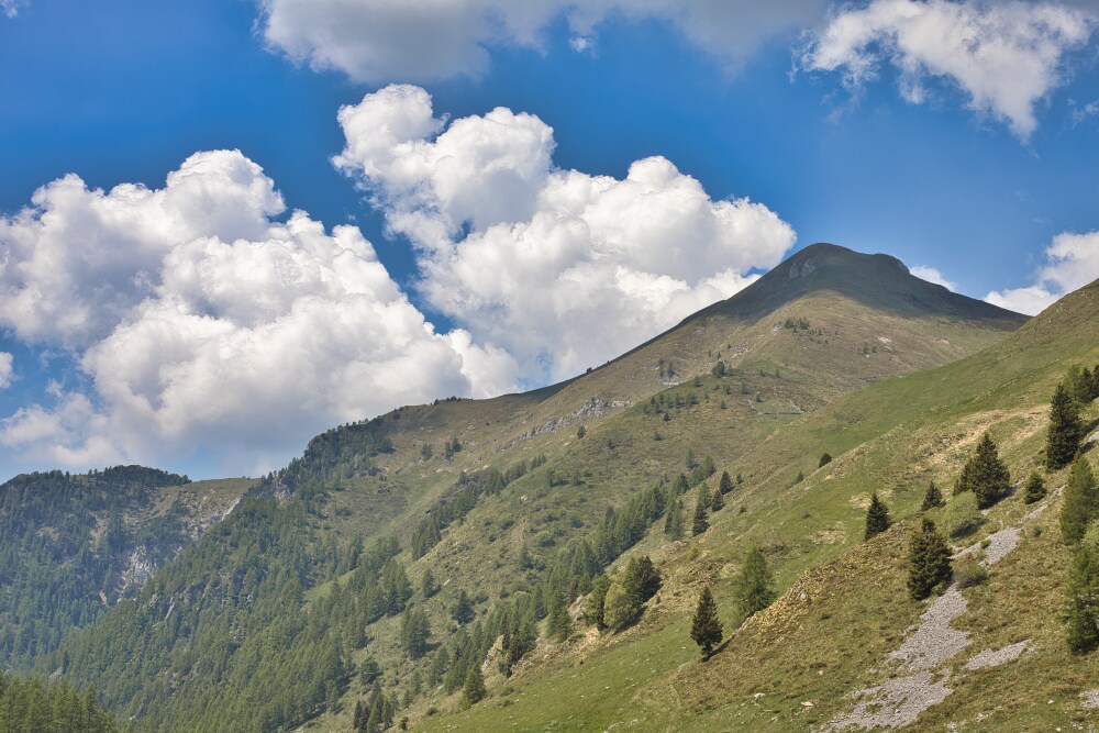 Pizzo del Vescovo dal Rifugio Terrerosse