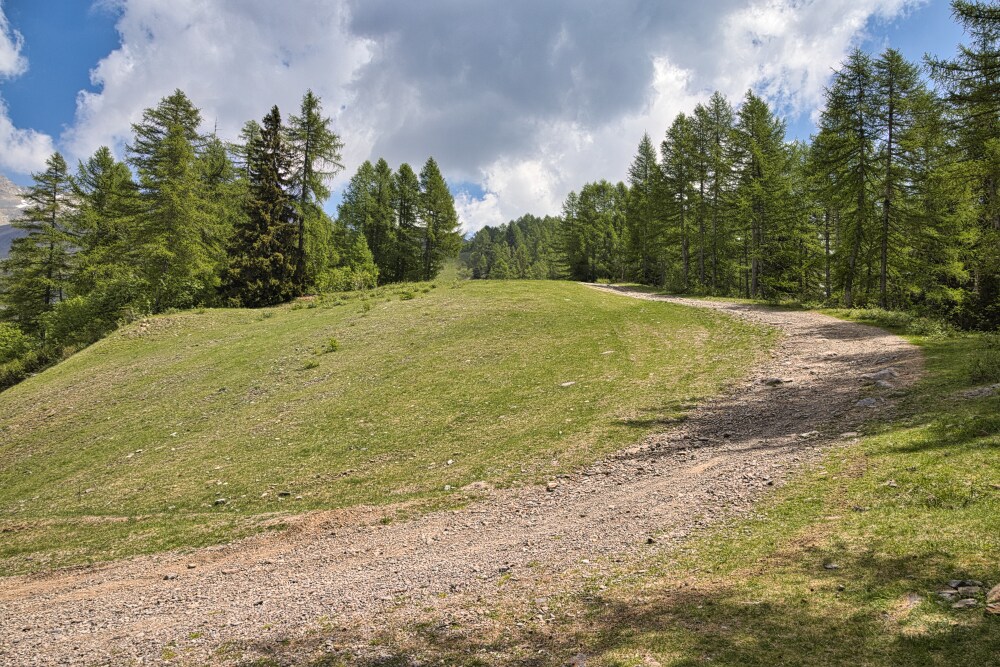 Piste da sci in versione estiva nei pressi del Rifugio Terrerosse