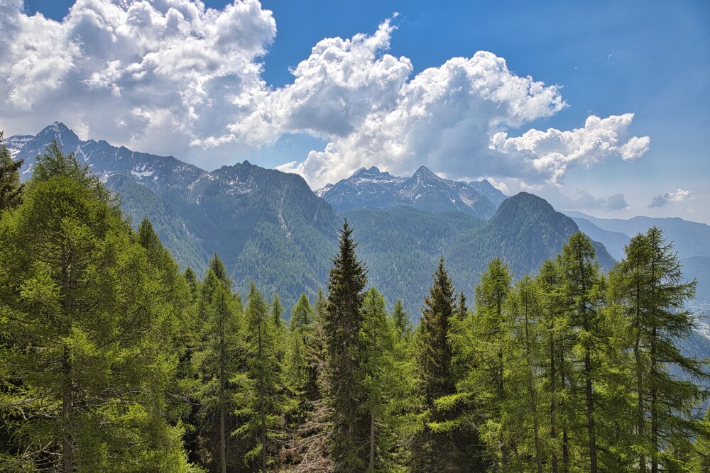 Vista dalla stazione a monte di Carona
