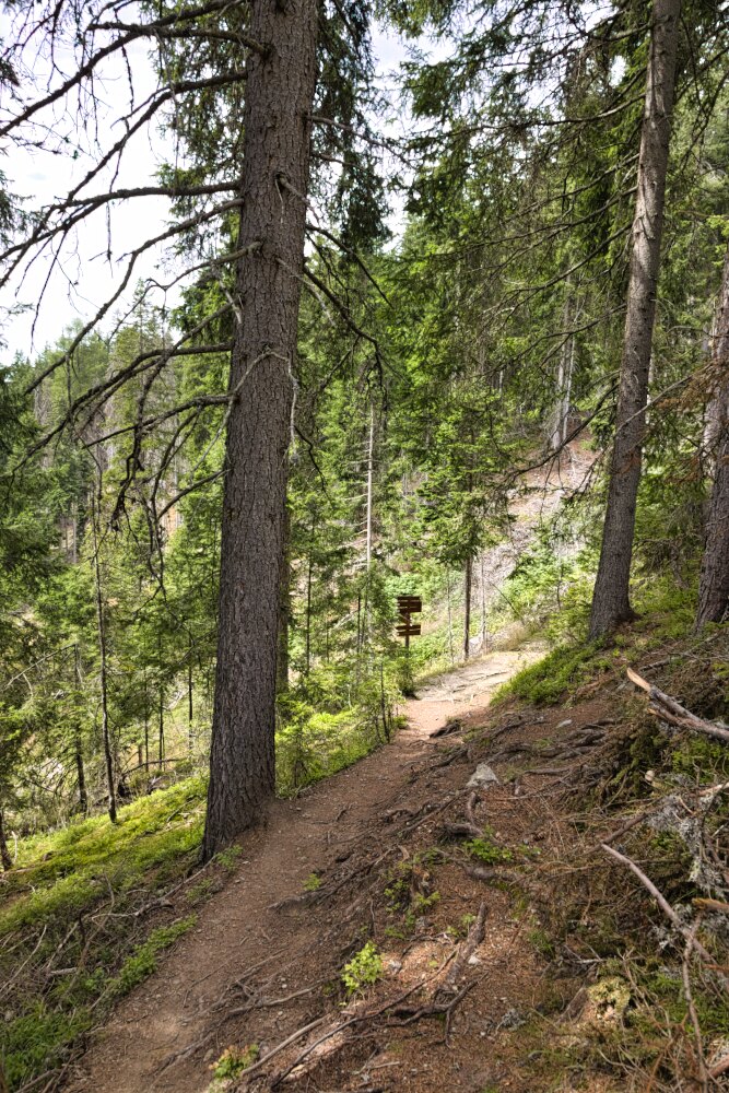 Sentiero salendo alla Kiener Alm