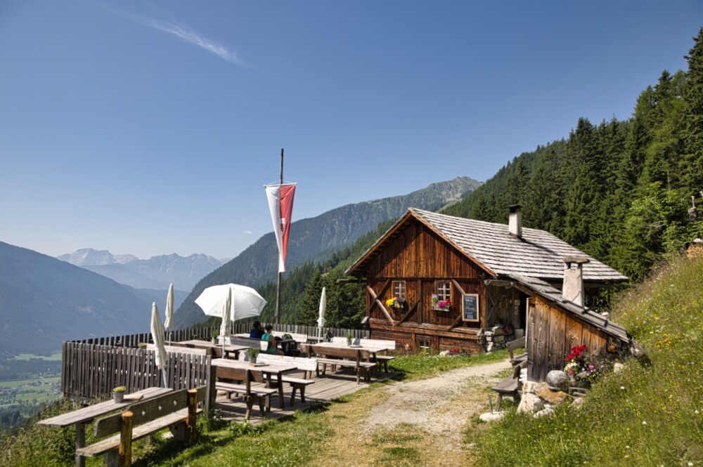 Kumpfalm