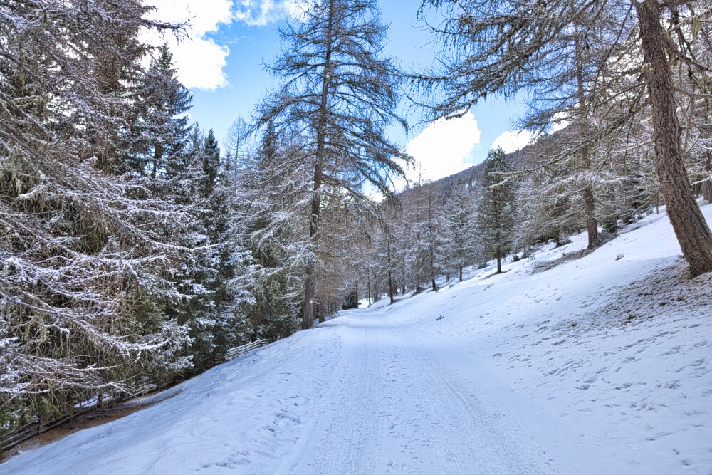 Strada bianca per la Lercheralm da Villa di Sopra