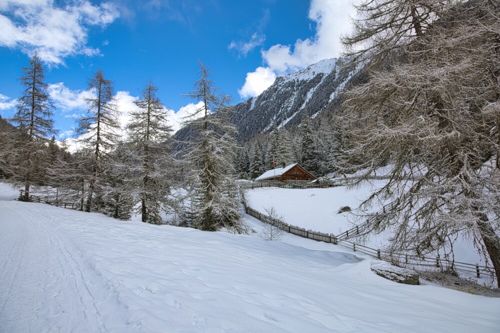 Lercheralm