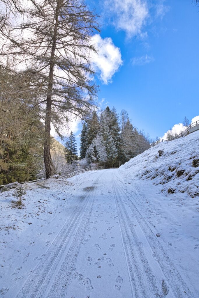Strada bianca per la Lercheralm da Villa di Sopra