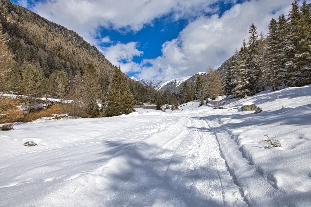 quasi giunti alla Lercheralm