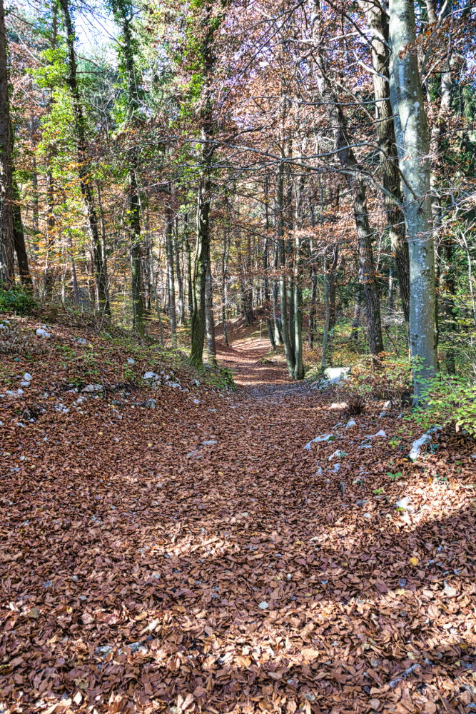 Sentiero facile e ben battuto al Parco Del Respiro