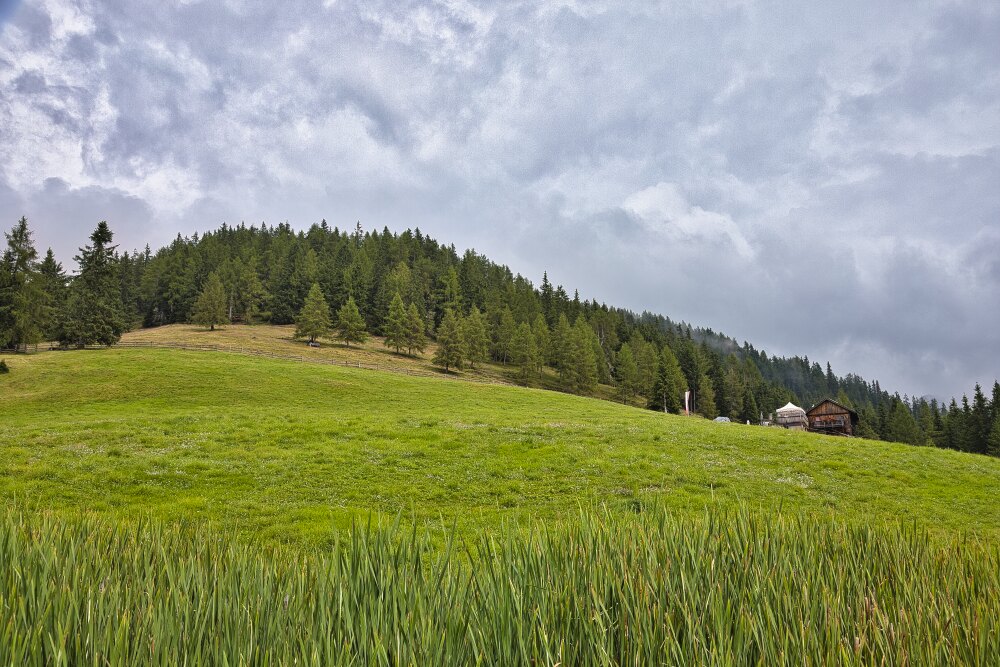 Pertinger Alm