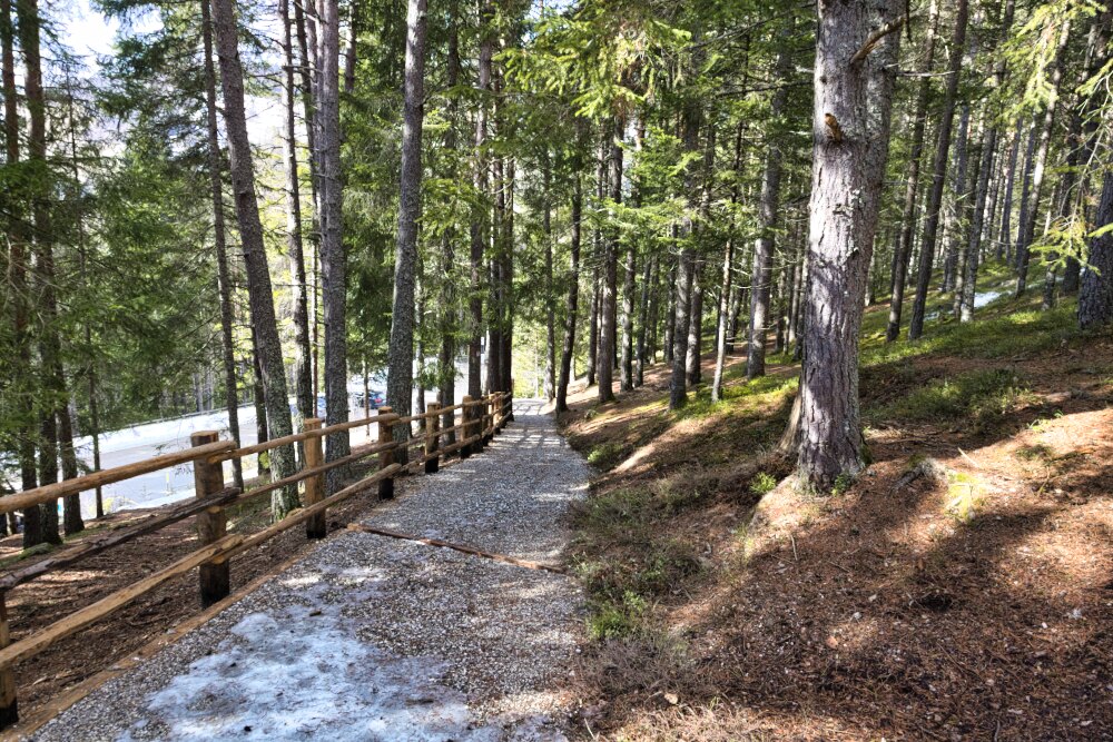 Nel bellissimo bosco salendo alle Piramidi di Perca o Plata