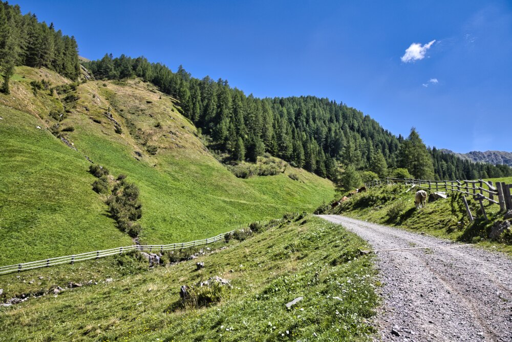 Boschi e pascoli Salendo alla Randlhütte