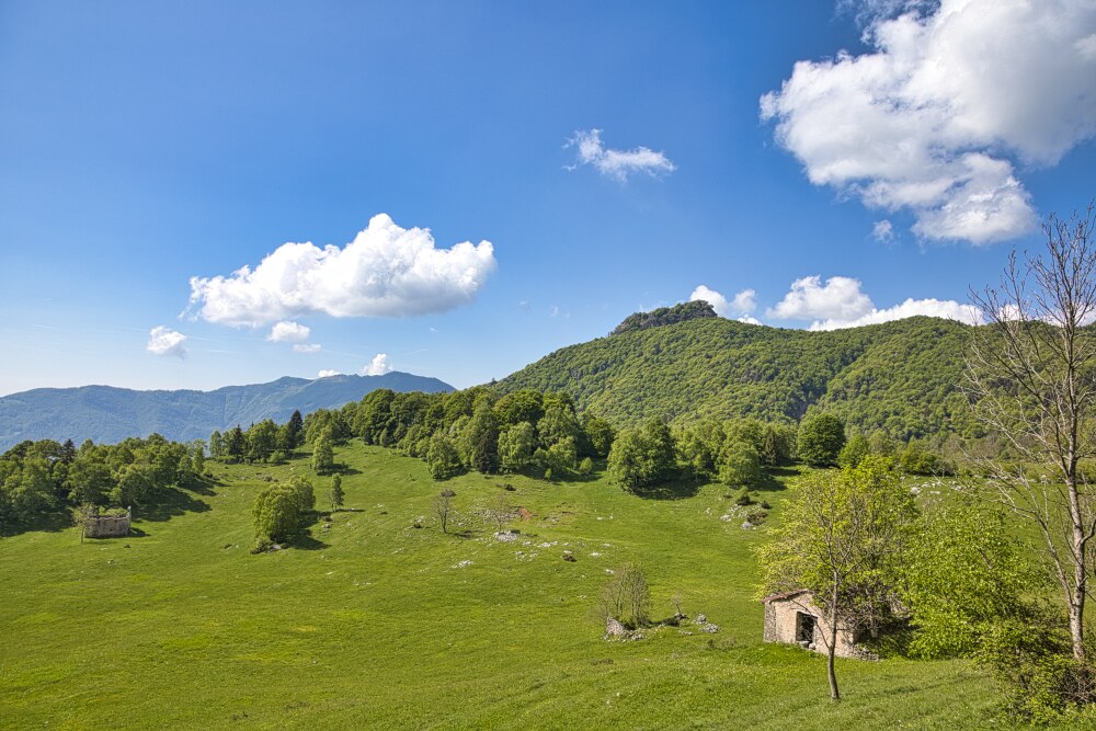 Alpeggi sopra Pizzino