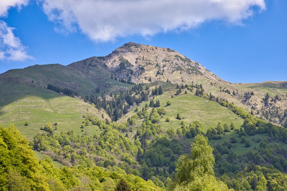 Monte Sodadura