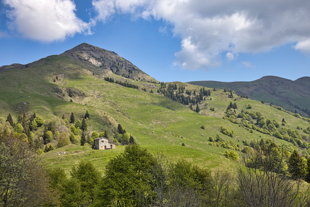 Monte Sodadura