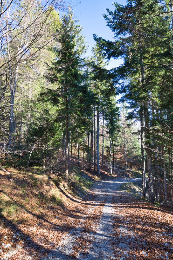 Salendo al Pradel e al Rifugio La Montanara