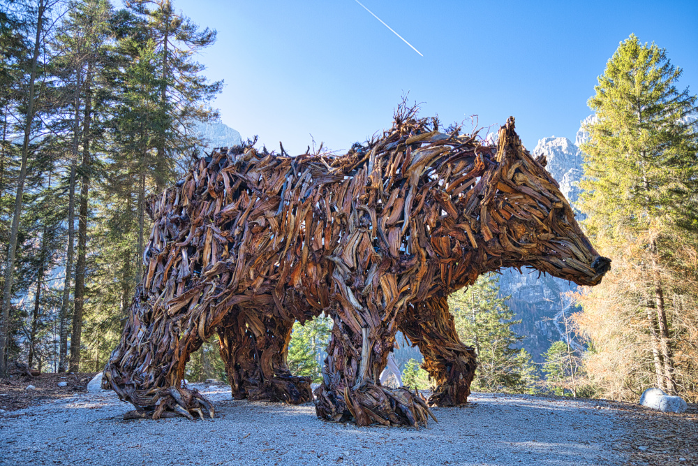 Orso del Pradel di Marco Martalar