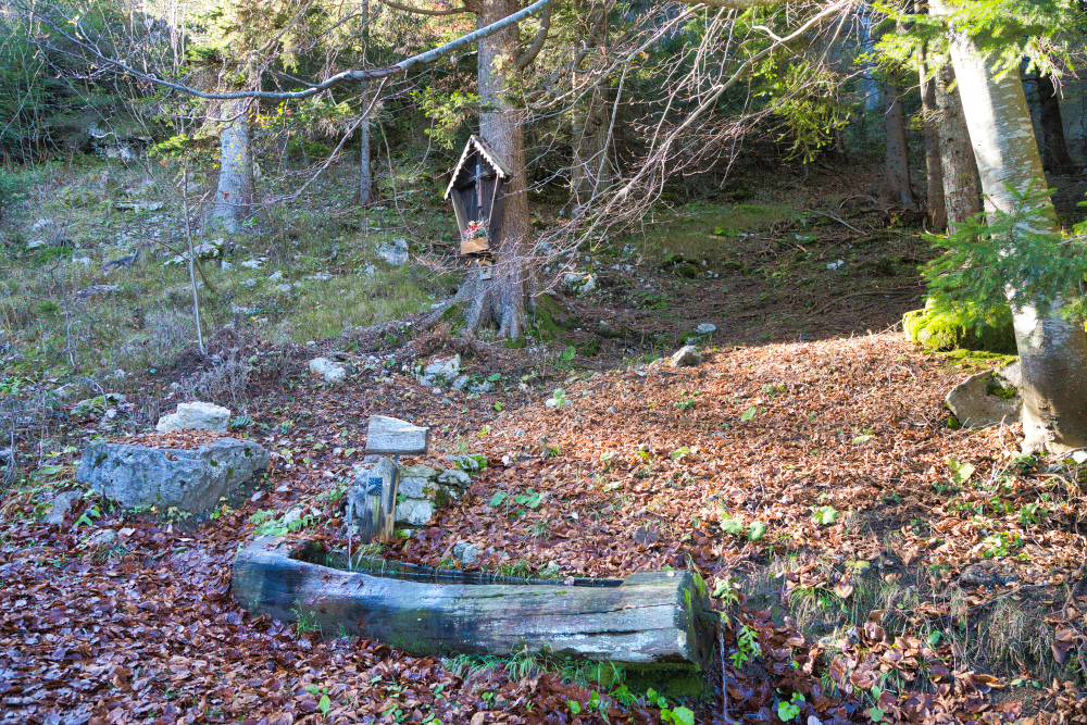 fontanella poco prima di arrivare al Rifugio Meriz